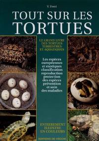 Tout sur les tortues