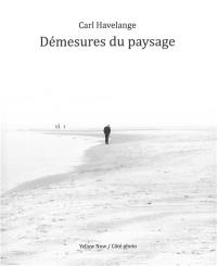 Démesures du paysage