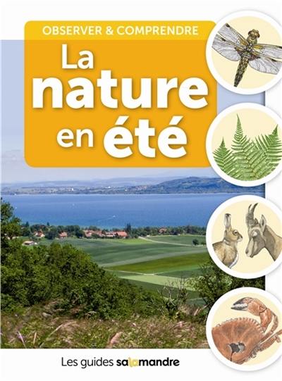 La nature en été : observer & comprendre