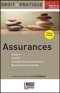 Assurances 2022-2023 : acteurs, contrat, risques des consommateurs, risques des entreprises