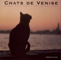 Chats de Venise