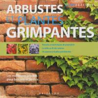 Arbustes et plantes grimpantes : les meilleures plantes pour balcons et jardins