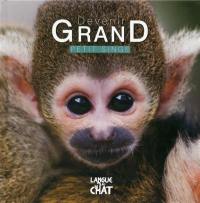 Devenir grand. Petit singe