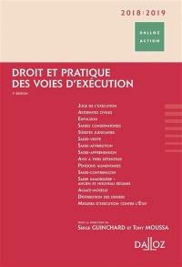 Droit et pratique des voies d'exécution : 2018-2019