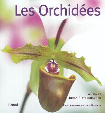 Les orchidées