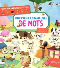 Mon premier grand livre de mots