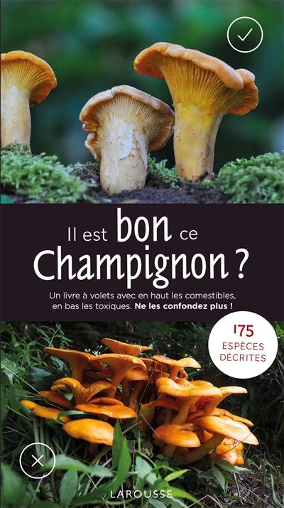 Il est bon, ce champignon ?