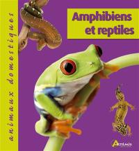 Amphibiens et reptiles