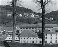 Les Vosges du Nord : l'observatoire photographique du paysage