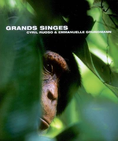 Grands singes