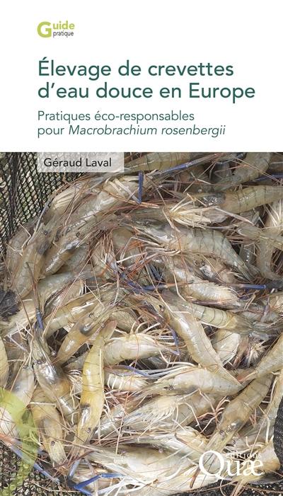 Elevage de crevettes d'eau douce en Europe : pratiques éco-responsables pour Macrobrachium rosenbergii