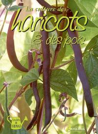 La culture des haricots et des pois