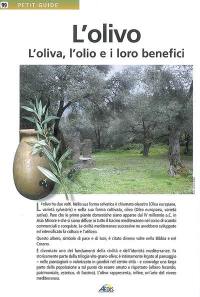 L'olivo : l'oliva, l'olio e i loro benefici