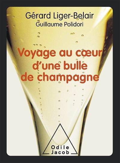 Voyage au coeur d'une bulle de champagne