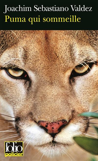 Une enquête impériale de l'Inca Tupac Hualpa. Puma qui sommeille