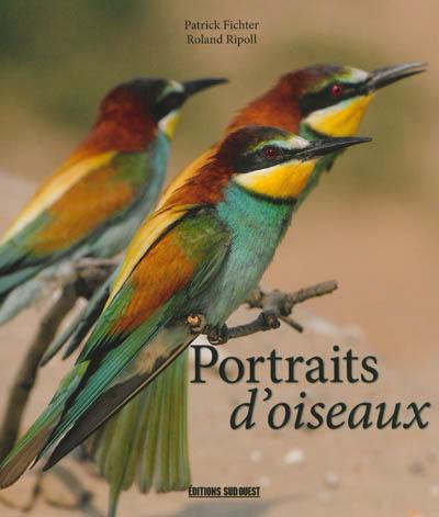 Portraits d'oiseaux