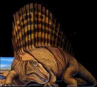 Le dimetrodon