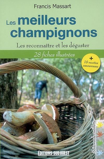 Les meilleurs champignons : les reconnaître et les déguster