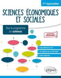 Sciences économiques et sociales, 1re spécialité : tout le programme en schémas : nouveaux programmes