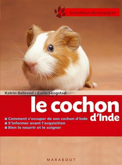 Le cochon d'Inde : bien le soigner, bien le nourrir, bien le comprendre