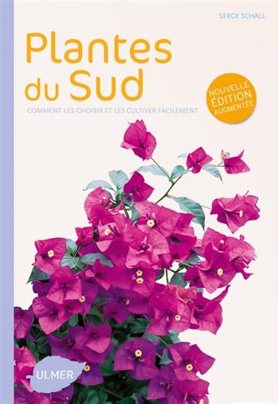 Plantes du Sud : comment les choisir et les cultiver rapidement