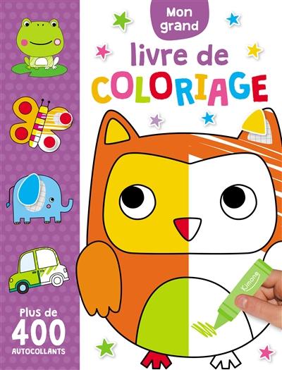 Mon grand livre de coloriage : plus de 400 autocollants