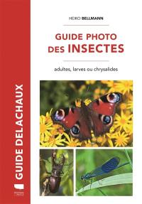 Guide photo des insectes : adultes, larves ou chrysalides