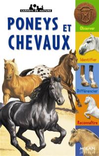 Poneys et chevaux