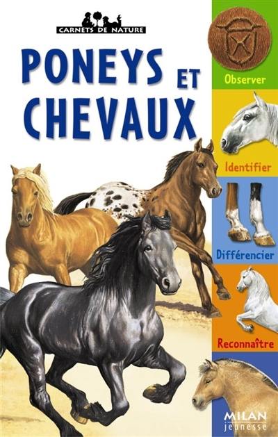 Poneys et chevaux