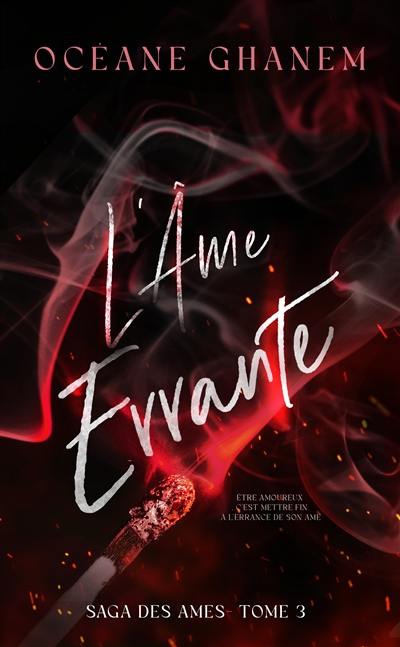 La saga des âmes. Vol. 3. L'âme errante. Vol. 1