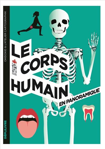 Le corps humain : en panoramique