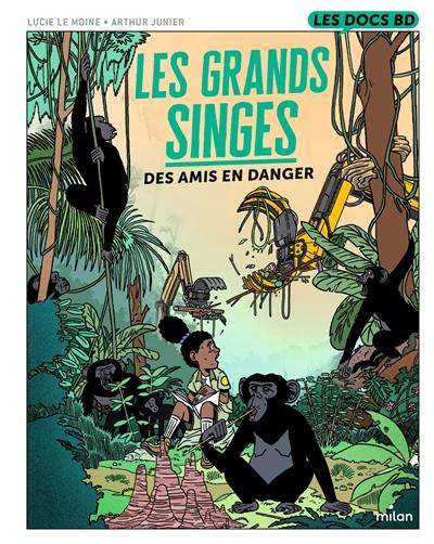 Les grands singes : des amis en danger