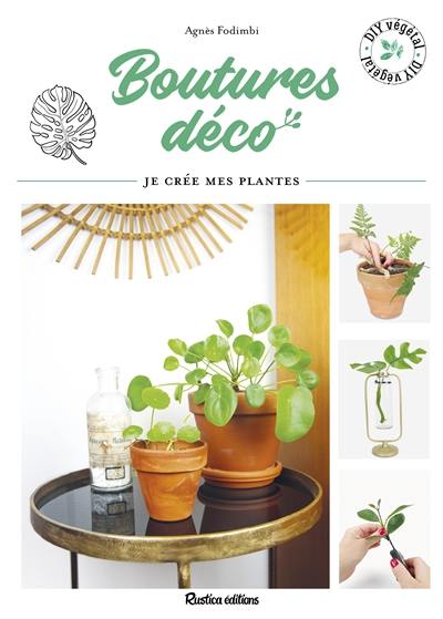 Boutures déco : je crée mes plantes en pas à pas