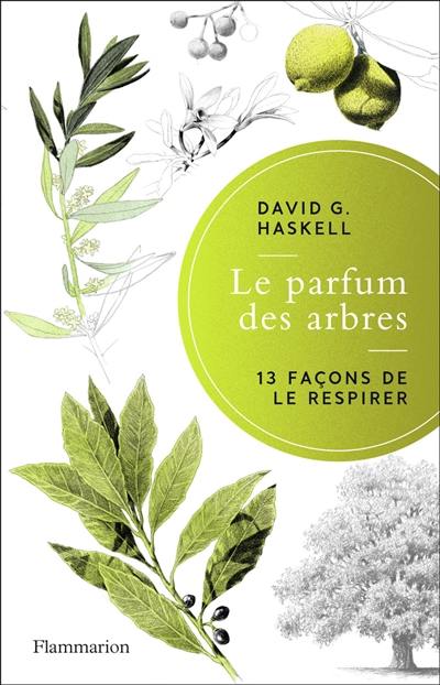 Le parfum des arbres : 13 façons de le respirer