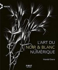 L'art du noir & blanc numérique