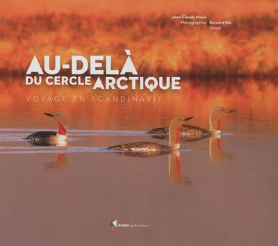 Au-delà du cercle arctique : voyage en Scandinavie