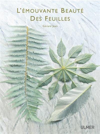 L'émouvante beauté des feuilles