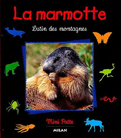 La marmotte : lutin des montagnes