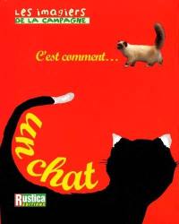 C'est comment... un chat