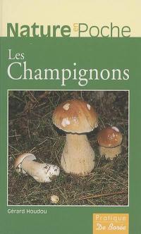 Les champignons