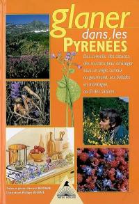 Glaner dans les Pyrénées : des conseils, des astuces, des recettes pour envisager sous un angle curieux ou gourmand ses balades en montagne, au fil des saisons...