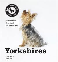 Yorkshires