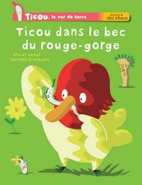 Ticou, le ver de terre. Ticou dans le bec du rouge-gorge