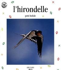 L'hirondelle : petit bolide