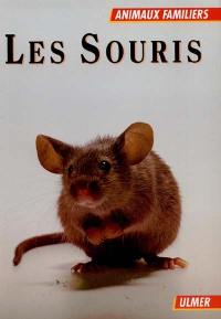 Les souris : rats et gerbilles