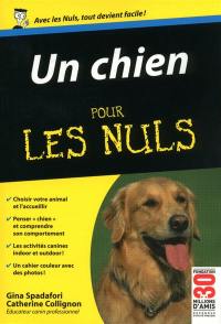 Un chien pour les nuls