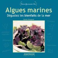 Algues marines : dégustez les bienfaits de la mer