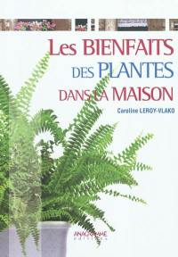 Les bienfaits des plantes dans la maison