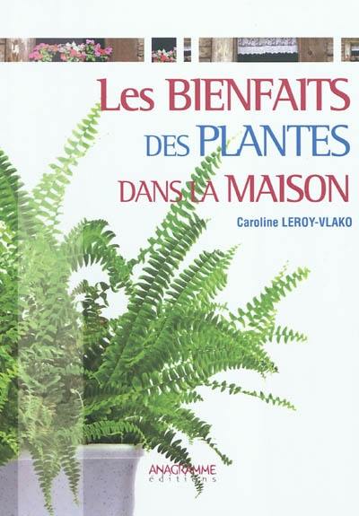 Les bienfaits des plantes dans la maison