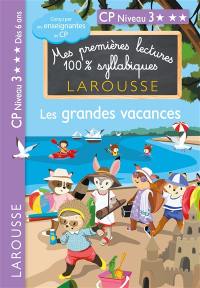 Les grandes vacances : CP, niveau 3